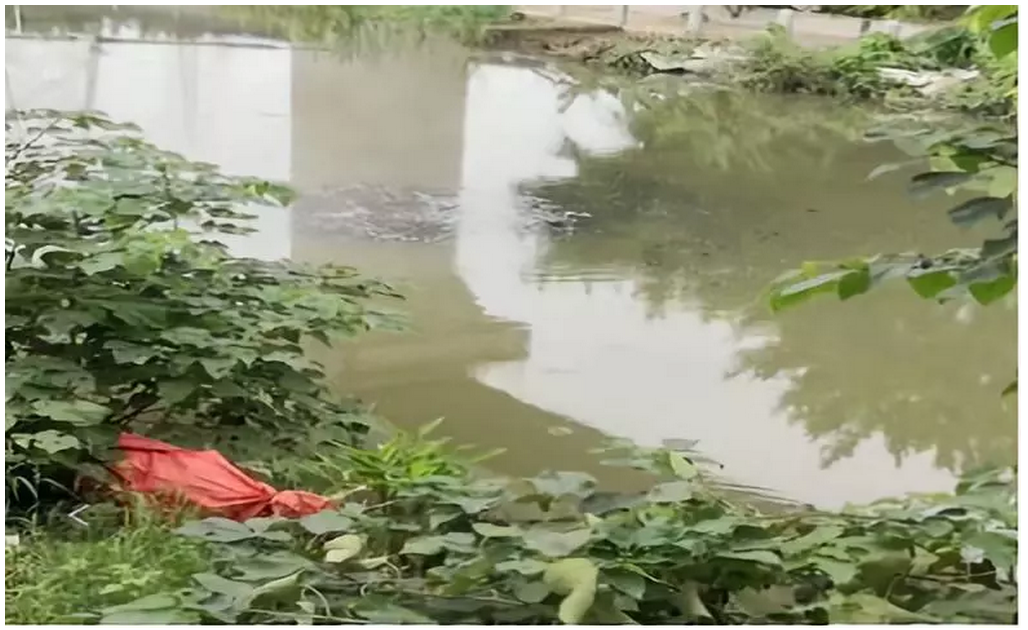 1540866581933003.png 1540866581933003.png