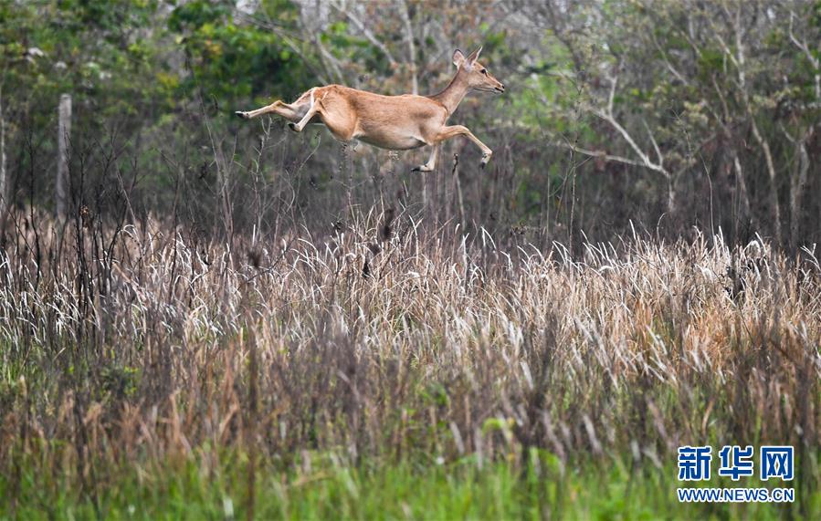 （迎接兩會(huì)）（3）共建生態(tài)文明 共享美麗家園