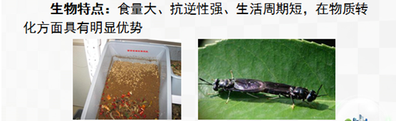 1562207722278402.png image.png